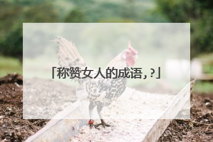 称赞女人的成语,?