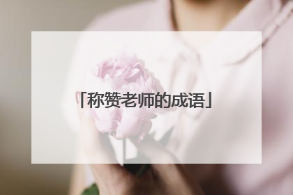称赞老师的成语