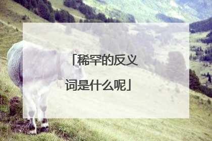 稀罕的反义词是什么呢