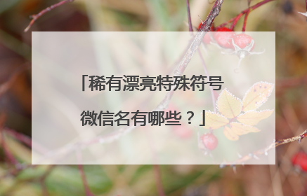 稀有漂亮特殊符号微信名有哪些?