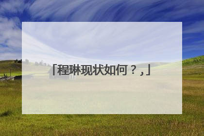 程琳现状如何?,