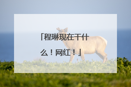 程琳现在干什么!网红!