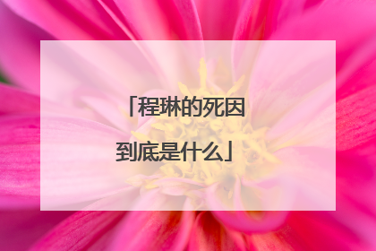 程琳的死因到底是什么