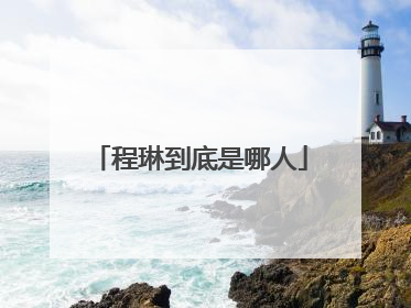 程琳到底是哪人