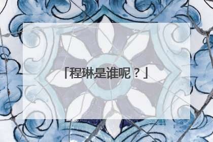 程琳是谁呢?