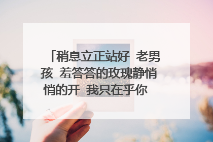 稍息立正站好 老男孩 羞答答的玫瑰静悄悄的开 我只在乎你 我还能孩子多久 各自远洋（扬） 吉他谱