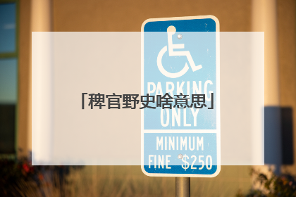 稗官野史啥意思