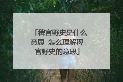 稗官野史是什么意思 怎么理解稗官野史的意思