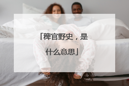 稗官野史，是 什么意思