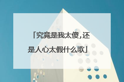 究竟是我太傻,还是人心太假什么歌