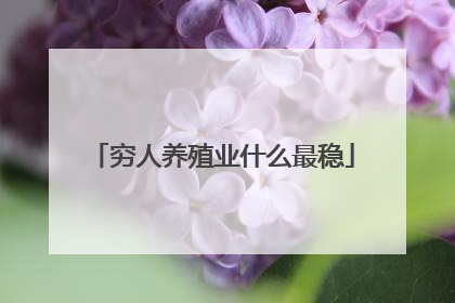 穷人养殖业什么最稳