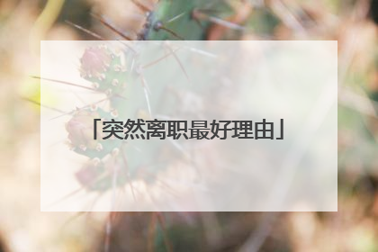 突然离职最好理由