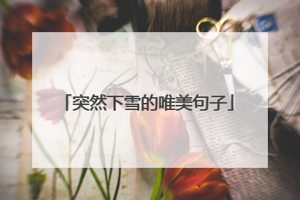 突然下雪的唯美句子
