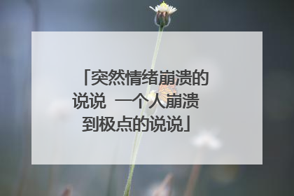 突然情绪崩溃的说说 一个人崩溃到极点的说说