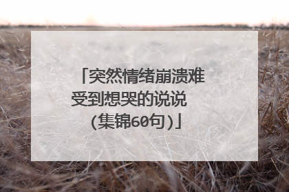 突然情绪崩溃难受到想哭的说说 (集锦60句)