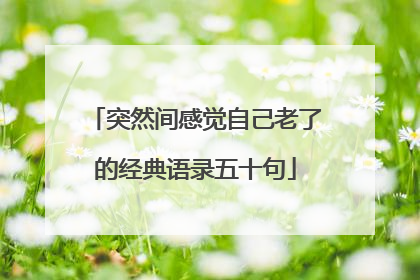 突然间感觉自己老了的经典语录五十句