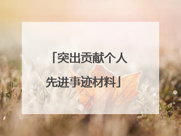 突出贡献个人先进事迹材料