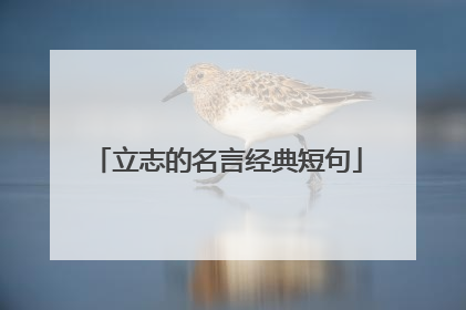 立志的名言经典短句