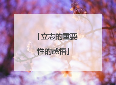 立志的重要性的感悟