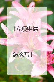 立项申请怎么写