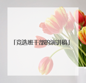 竞选班干部的演讲稿