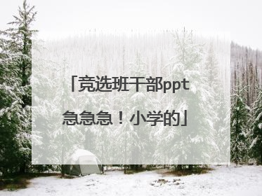 竞选班干部ppt 急急急！小学的