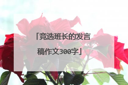 竞选班长的发言稿作文300字