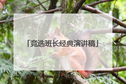 竞选班长经典演讲稿