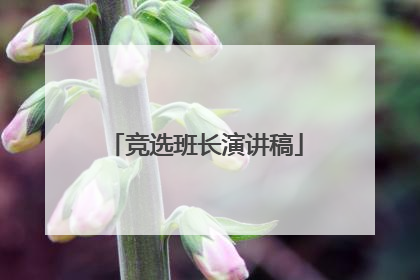竞选班长演讲稿