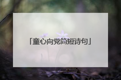 童心向党简短诗句