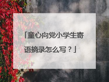 童心向党小学生寄语摘录怎么写？