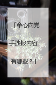 童心向党手抄报内容有哪些?