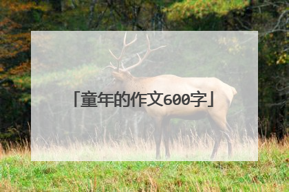 童年的作文600字
