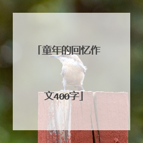 童年的回忆作文400字
