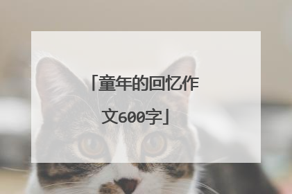 童年的回忆作文600字