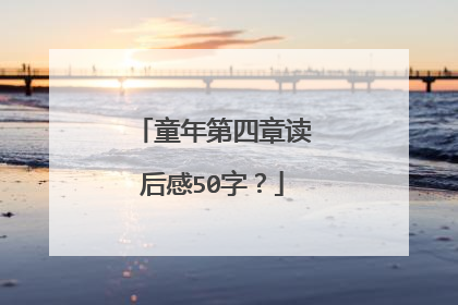 童年第四章读后感50字?