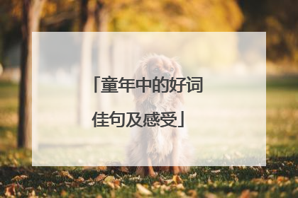 童年中的好词佳句及感受