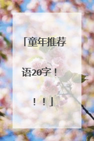 童年推荐语20字!!!