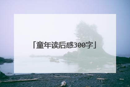 童年读后感300字