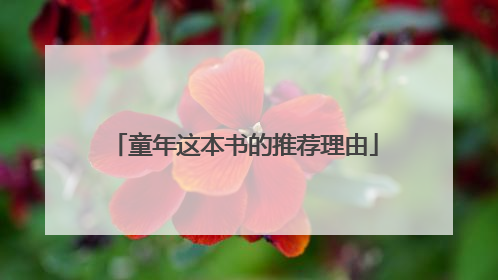 童年这本书的推荐理由