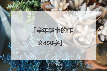 童年趣事的作文450字