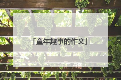 童年趣事的作文