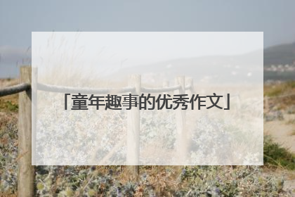 童年趣事的优秀作文
