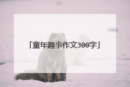 童年趣事作文300字