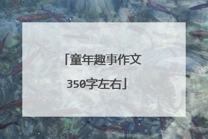 童年趣事作文350字左右