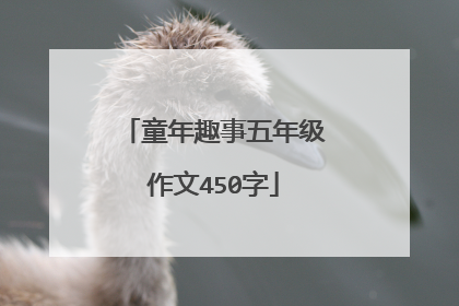 童年趣事五年级作文450字