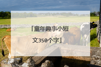 童年趣事小短文350个字
