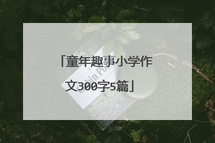 童年趣事小学作文300字5篇