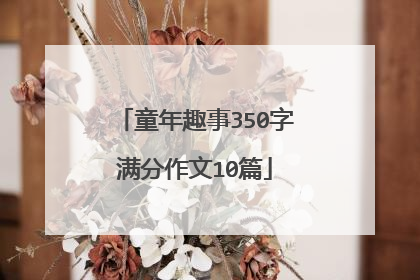 童年趣事350字满分作文10篇