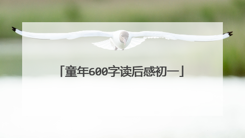 童年600字读后感初一